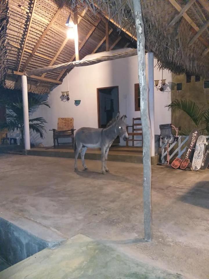 Kite Bay Villa Kalpitiya Luaran gambar