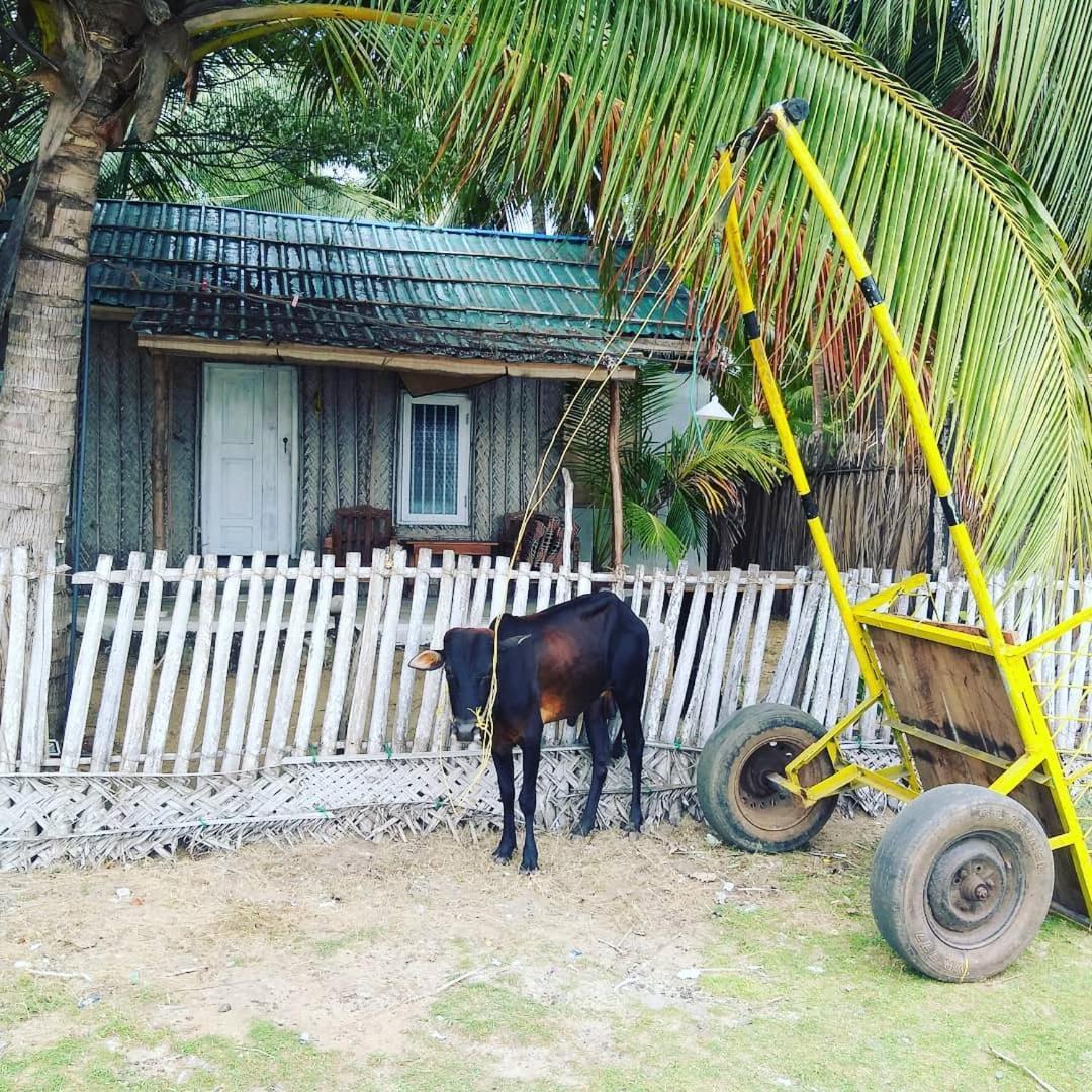 Kite Bay Villa Kalpitiya Luaran gambar