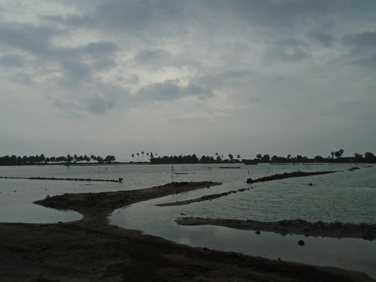 Kite Bay Villa Kalpitiya Luaran gambar