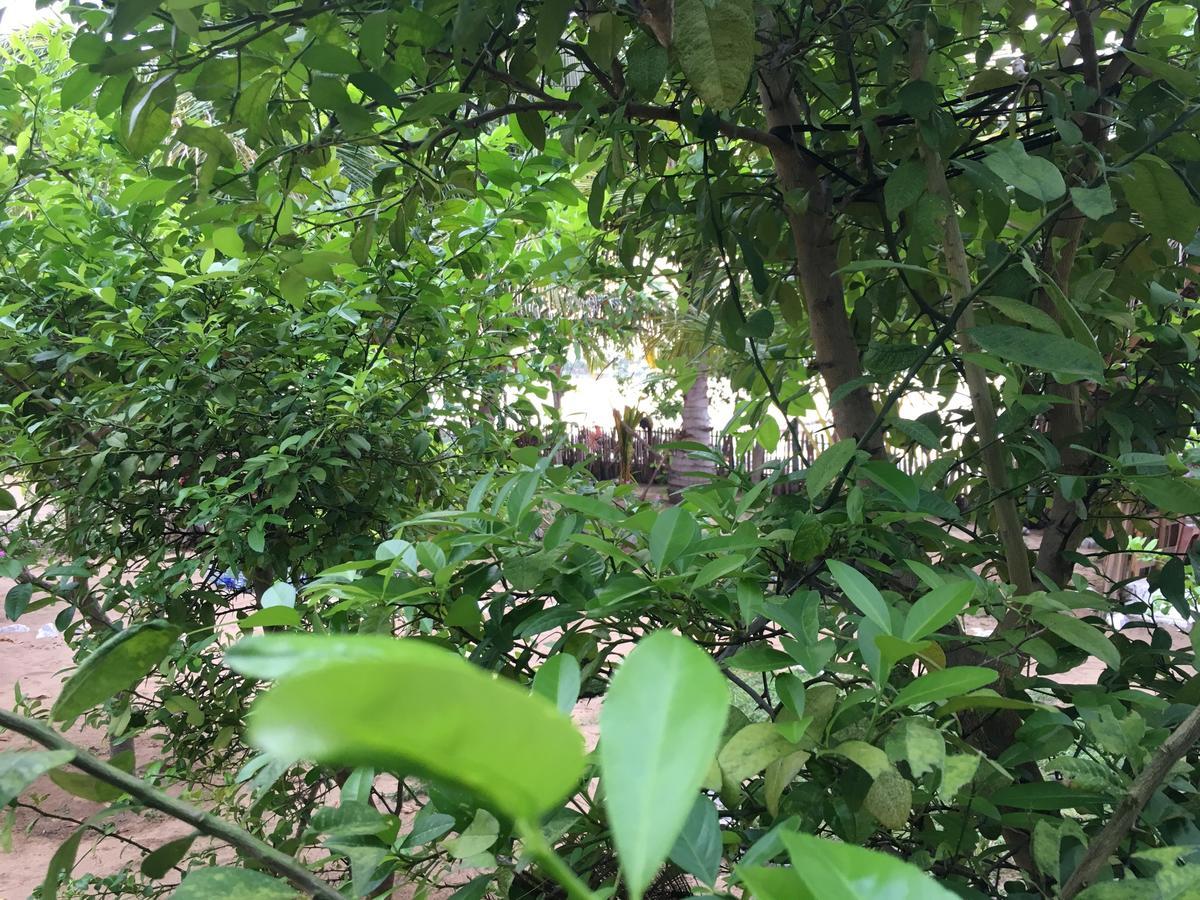 Kite Bay Villa Kalpitiya Luaran gambar